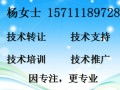賴氨酸 生產(chǎn)、應(yīng)用與市場(chǎng)前景探析